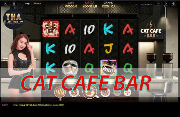 cat-cafe-bar